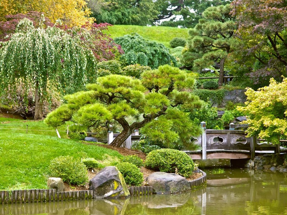 brooklyn botanic A verdant landscape at the Brooklyn Botanic Garden