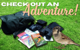 Check out an Adventure!